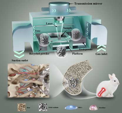 清華、北大、北醫(yī)三院聯合：高溫氧化處理3D打印鎂合金骨植入物結構優(yōu)化及體內外生物降解行為